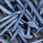 Slate Nails Galv 40mm 1kg Box