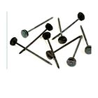 Ridge Tile Nails 110mm  (Sold Per Each) (100)