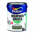 Dulux Weathershield Smooth Masonry Paint Wicklow Way 5L