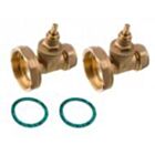 Gate Type Pump Valve 1in Female
