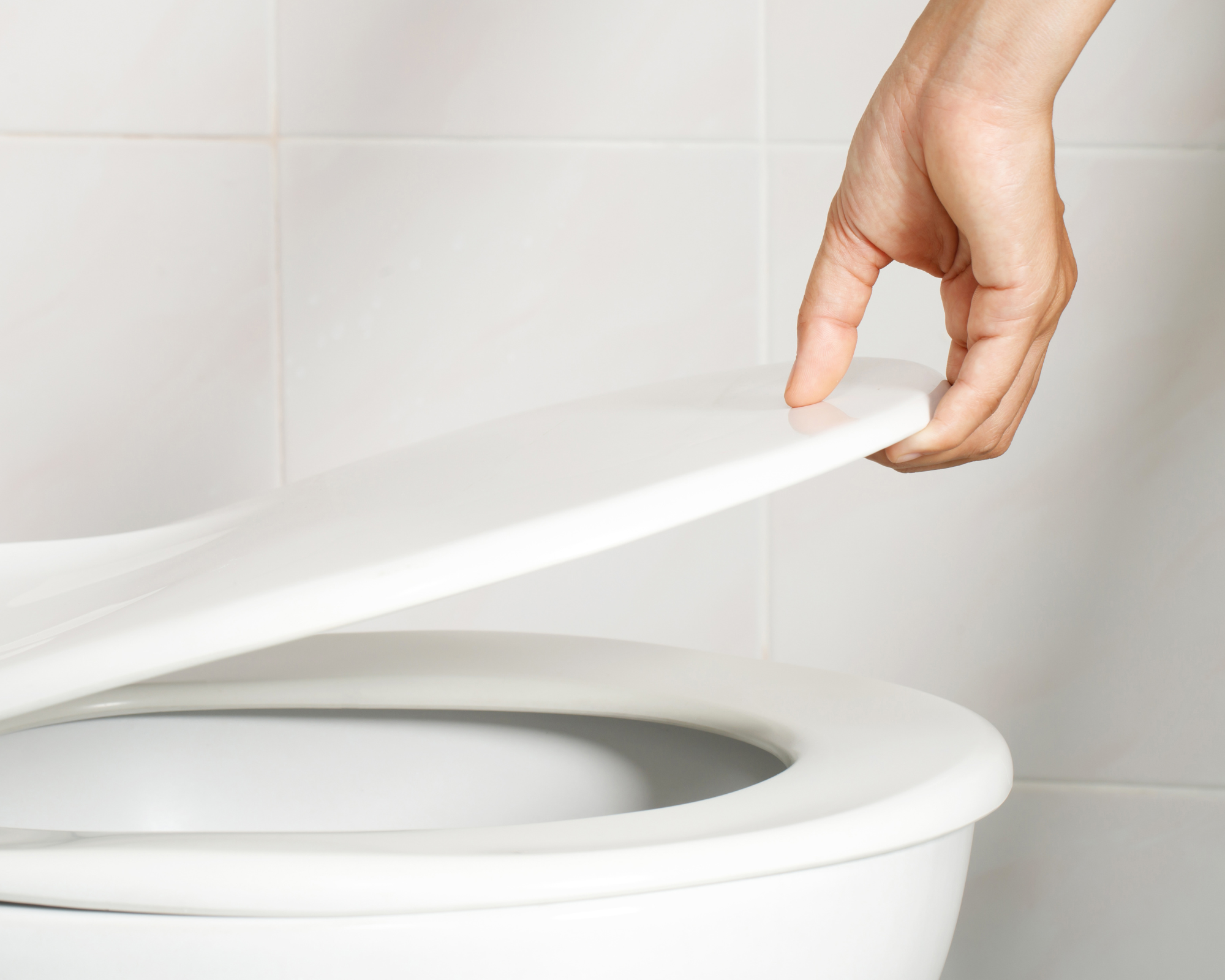 TJ’s Tips - How to Change a Toilet Seat: A Step-by-Step Guide